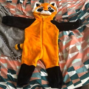 Raccoon costume
